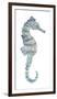 Pretty Seahorse-Sandra Jacobs-Framed Giclee Print