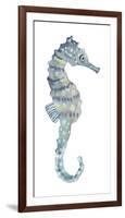 Pretty Seahorse-Sandra Jacobs-Framed Giclee Print