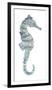 Pretty Seahorse-Sandra Jacobs-Framed Giclee Print