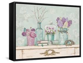 Pretty Vignette 1-Stefania Ferri-Framed Stretched Canvas