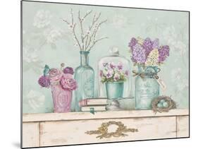 Pretty Vignette 1-Stefania Ferri-Mounted Art Print