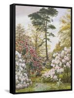 Pretty Woodland Garden-Marian Chase-Framed Stretched Canvas