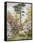 Pretty Woodland Garden-Marian Chase-Framed Stretched Canvas