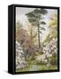 Pretty Woodland Garden-Marian Chase-Framed Stretched Canvas