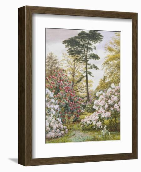 Pretty Woodland Garden-Marian Chase-Framed Giclee Print