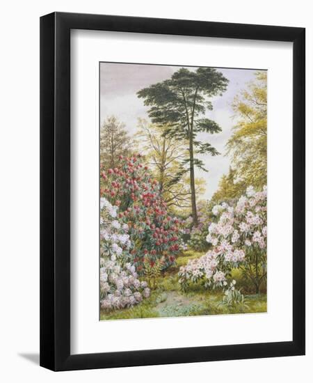 Pretty Woodland Garden-Marian Chase-Framed Giclee Print