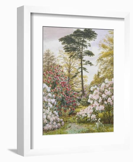 Pretty Woodland Garden-Marian Chase-Framed Giclee Print