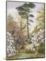 Pretty Woodland Garden-Marian Chase-Mounted Giclee Print