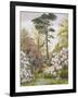 Pretty Woodland Garden-Marian Chase-Framed Giclee Print
