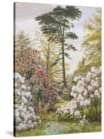 Pretty Woodland Garden-Marian Chase-Stretched Canvas
