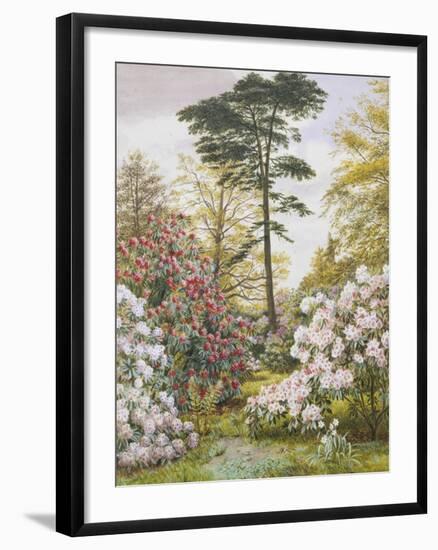 Pretty Woodland Garden-Marian Chase-Framed Giclee Print