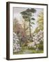 Pretty Woodland Garden-Marian Chase-Framed Giclee Print