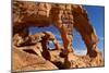 Pretzel Arch, Valley of Fire State Park, Nevada, United States of America, North America-James Hager-Mounted Photographic Print