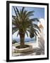 Preveli Monastery, Preveli, Crete, Greek Islands, Greece, Europe-Angelo Cavalli-Framed Photographic Print