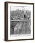 Prices Hill Incline, Cincinnati, Ohio-null-Framed Photo