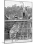 Prices Hill Incline, Cincinnati, Ohio-null-Mounted Photo