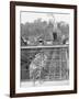 Prices Hill Incline, Cincinnati, Ohio-null-Framed Photo