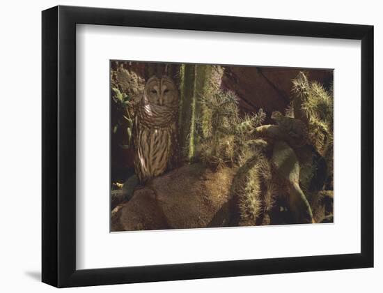 Prickly Pair-Steve Hunziker-Framed Art Print