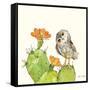 Prickly Pear and Elf Owl-Robbin Rawlings-Framed Stretched Canvas