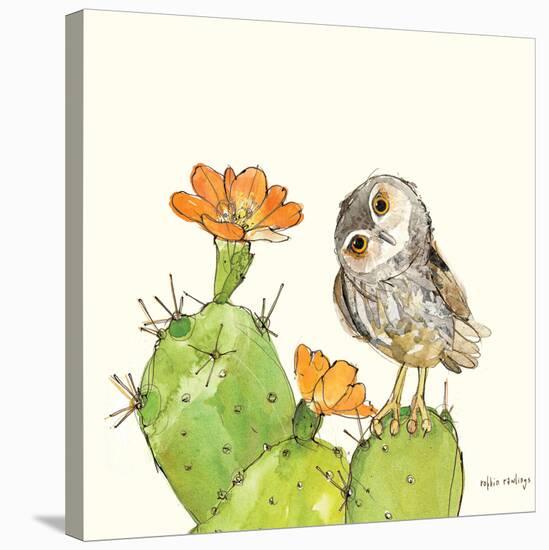 Prickly Pear and Elf Owl-Robbin Rawlings-Stretched Canvas