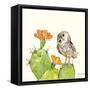 Prickly Pear and Elf Owl-Robbin Rawlings-Framed Stretched Canvas
