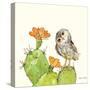 Prickly Pear and Elf Owl-Robbin Rawlings-Stretched Canvas