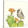 Prickly Pear and Elf Owl-Robbin Rawlings-Stretched Canvas