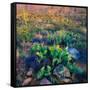 Prickly Pear and Saguaro Cacti, Santa Catalina Mountains, Oro Valley, Arizona, USA-null-Framed Stretched Canvas