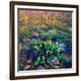 Prickly Pear and Saguaro Cacti, Santa Catalina Mountains, Oro Valley, Arizona, USA-null-Framed Photographic Print