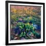 Prickly Pear and Saguaro Cacti, Santa Catalina Mountains, Oro Valley, Arizona, USA-null-Framed Photographic Print