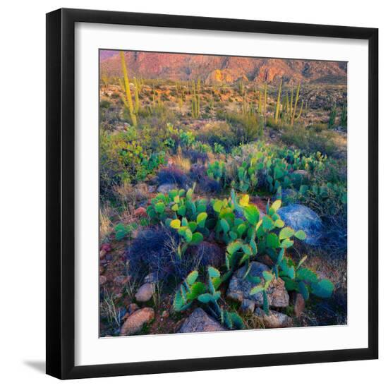Premium Photographic Print, , large