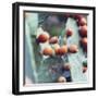 prickly pear at Formentera,-Nadja Jacke-Framed Photographic Print