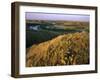 Prickly Pear Cactus Above the Marias River in Summer Near Shelby, Montana, USA-Chuck Haney-Framed Photographic Print
