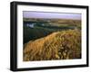 Prickly Pear Cactus Above the Marias River in Summer Near Shelby, Montana, USA-Chuck Haney-Framed Photographic Print