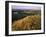 Prickly Pear Cactus Above the Marias River in Summer Near Shelby, Montana, USA-Chuck Haney-Framed Photographic Print