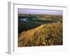 Prickly Pear Cactus Above the Marias River in Summer Near Shelby, Montana, USA-Chuck Haney-Framed Photographic Print