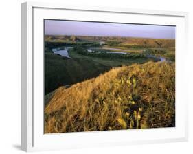 Prickly Pear Cactus Above the Marias River in Summer Near Shelby, Montana, USA-Chuck Haney-Framed Photographic Print