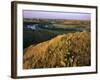 Prickly Pear Cactus Above the Marias River in Summer Near Shelby, Montana, USA-Chuck Haney-Framed Photographic Print