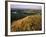 Prickly Pear Cactus Above the Marias River in Summer Near Shelby, Montana, USA-Chuck Haney-Framed Photographic Print