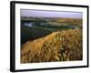 Prickly Pear Cactus Above the Marias River in Summer Near Shelby, Montana, USA-Chuck Haney-Framed Photographic Print