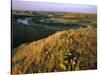 Prickly Pear Cactus Above the Marias River in Summer Near Shelby, Montana, USA-Chuck Haney-Stretched Canvas