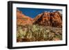 Prickly Pear cactus along Water Canyon, St. George, Utah, USA-null-Framed Photographic Print