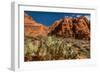 Prickly Pear cactus along Water Canyon, St. George, Utah, USA-null-Framed Photographic Print