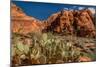 Prickly Pear cactus along Water Canyon, St. George, Utah, USA-null-Mounted Photographic Print