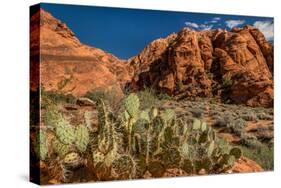 Prickly Pear cactus along Water Canyon, St. George, Utah, USA-null-Stretched Canvas