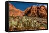 Prickly Pear cactus along Water Canyon, St. George, Utah, USA-null-Framed Stretched Canvas