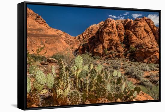 Prickly Pear cactus along Water Canyon, St. George, Utah, USA-null-Framed Stretched Canvas