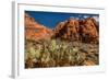 Prickly Pear cactus along Water Canyon, St. George, Utah, USA-null-Framed Photographic Print