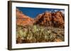 Prickly Pear cactus along Water Canyon, St. George, Utah, USA-null-Framed Photographic Print