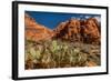 Prickly Pear cactus along Water Canyon, St. George, Utah, USA-null-Framed Photographic Print